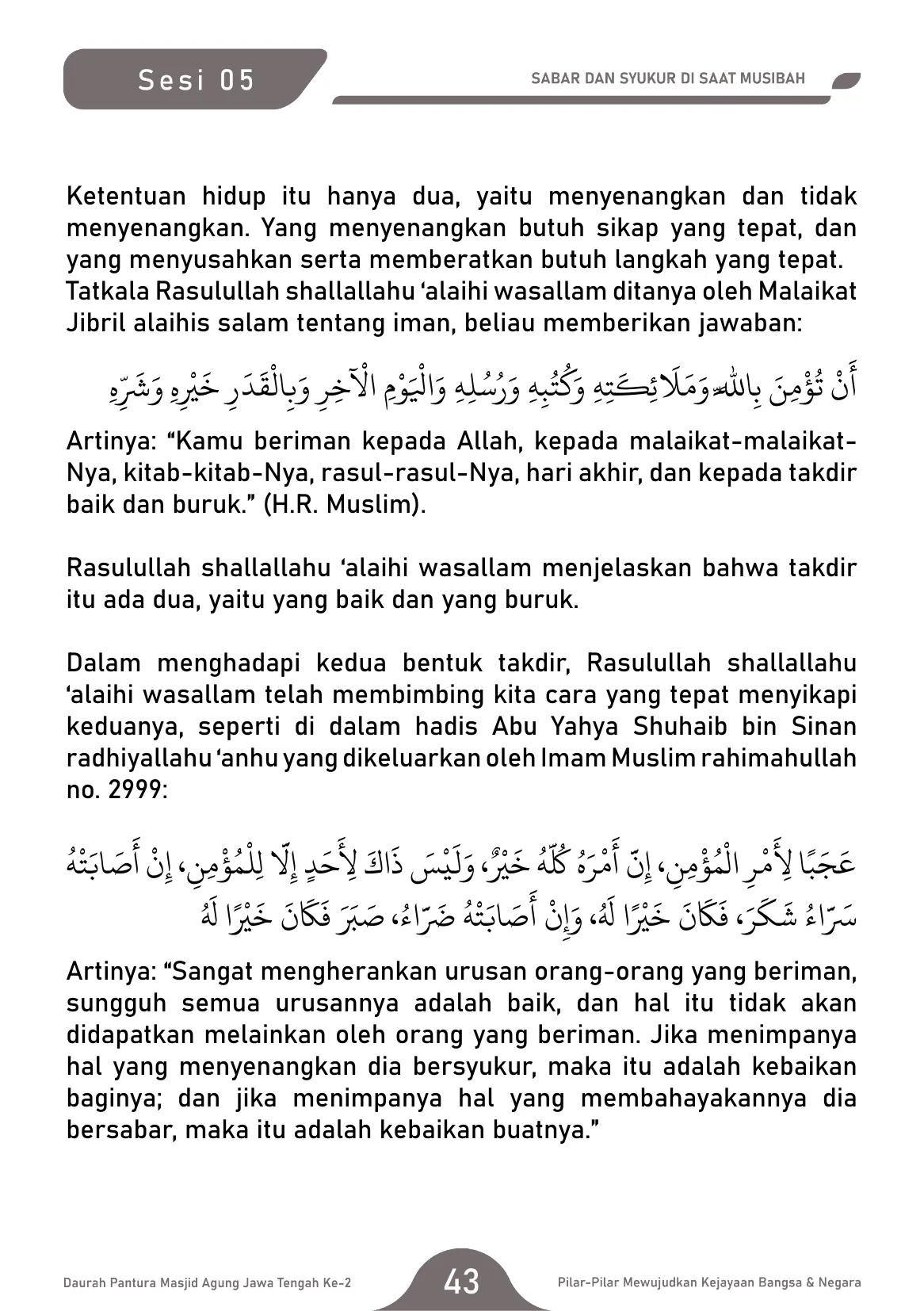 Halaman 43